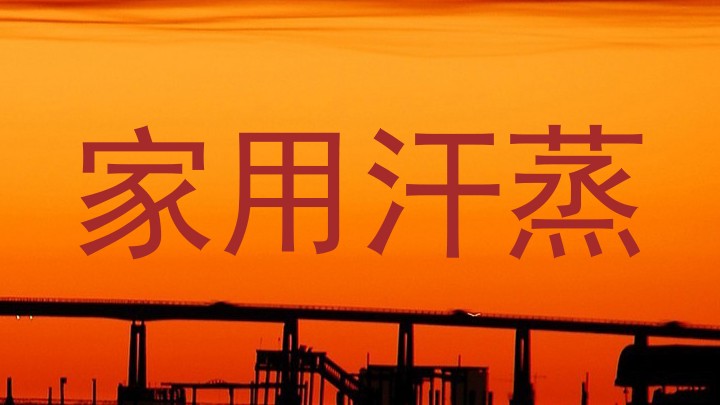 家用汗蒸