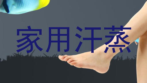 家用汗蒸