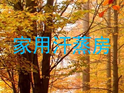 家用汗蒸房