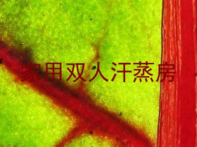 家用双人汗蒸房