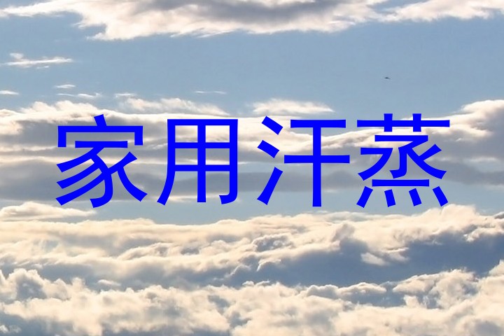 家用汗蒸