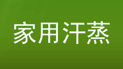 家用汗蒸