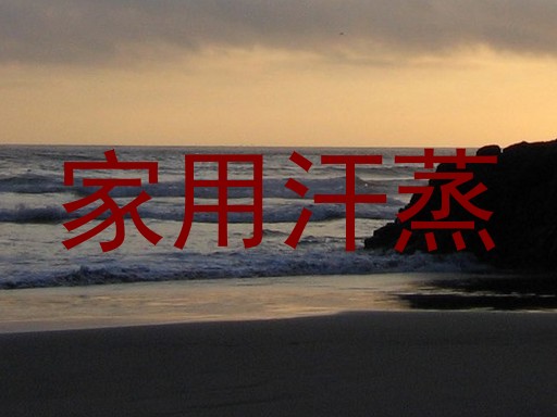 家用汗蒸
