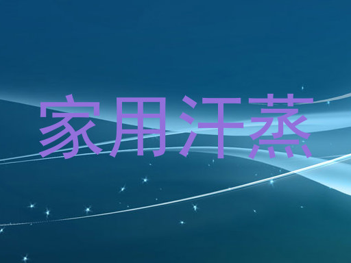家用汗蒸