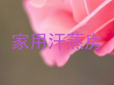 家用汗蒸房
