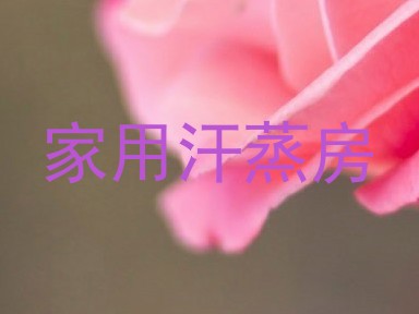 家用汗蒸房