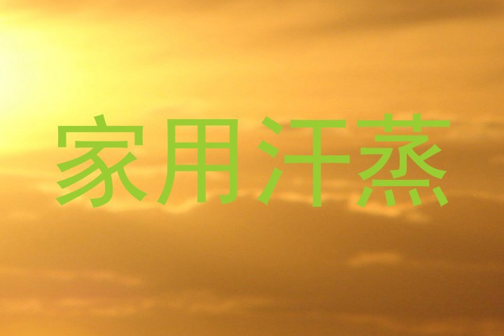 家用汗蒸
