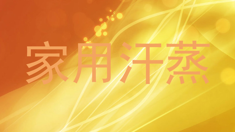 家用汗蒸