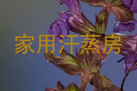 家用汗蒸房