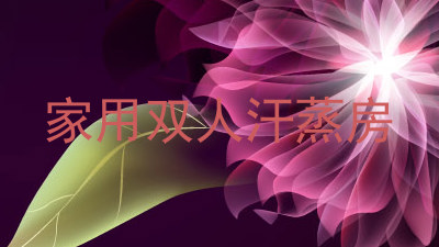 家用双人汗蒸房