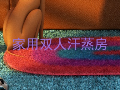 家用双人汗蒸房