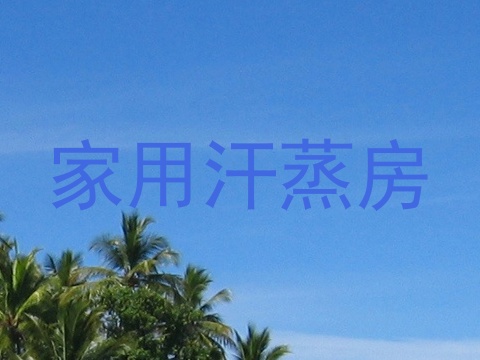 家用汗蒸房