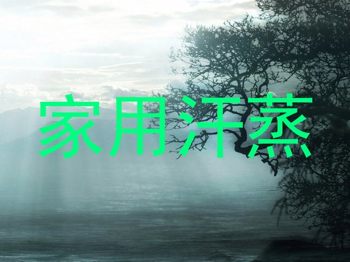 家用汗蒸