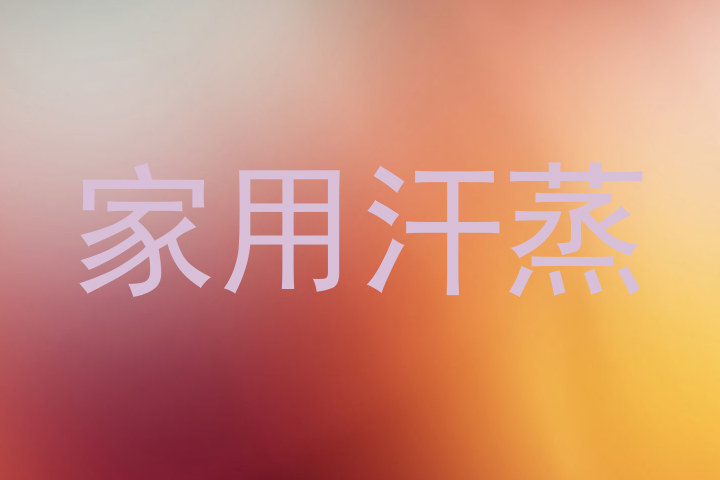 家用汗蒸