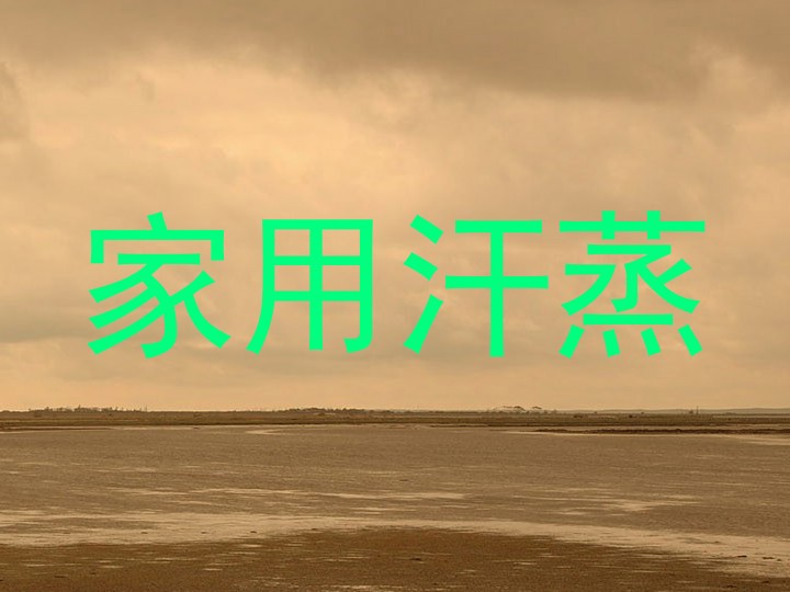 家用汗蒸