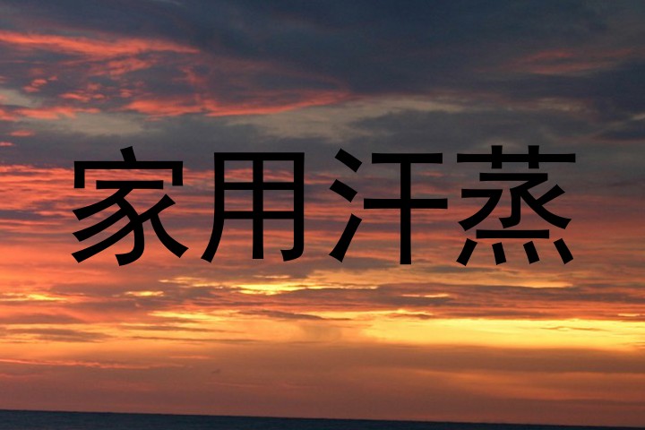 家用汗蒸