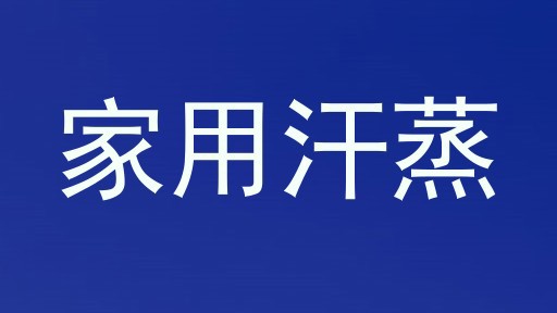 家用汗蒸