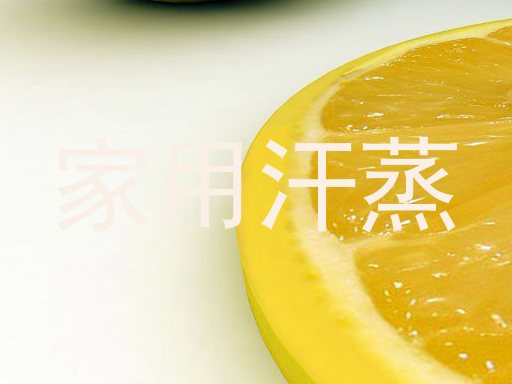 家用汗蒸