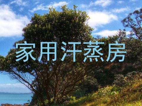 家用汗蒸房