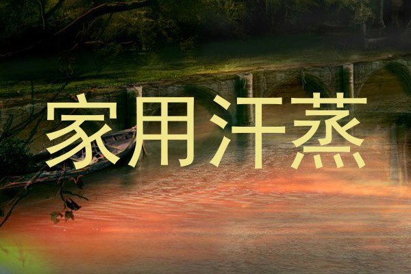 家用汗蒸