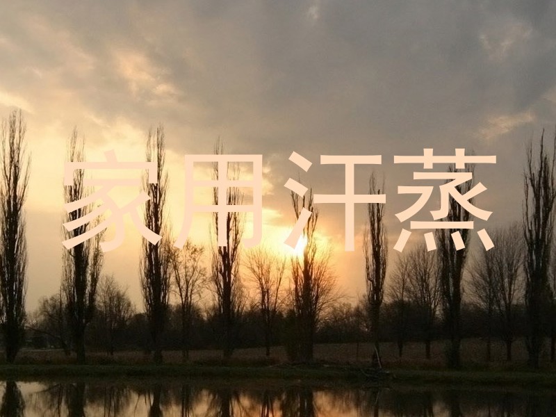 家用汗蒸