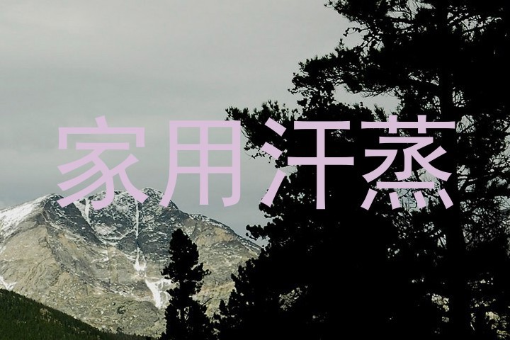 家用汗蒸