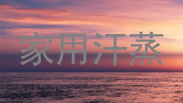 家用汗蒸