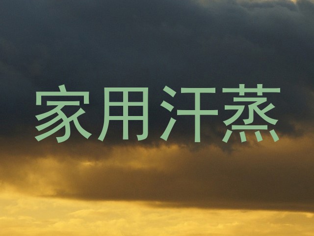 家用汗蒸