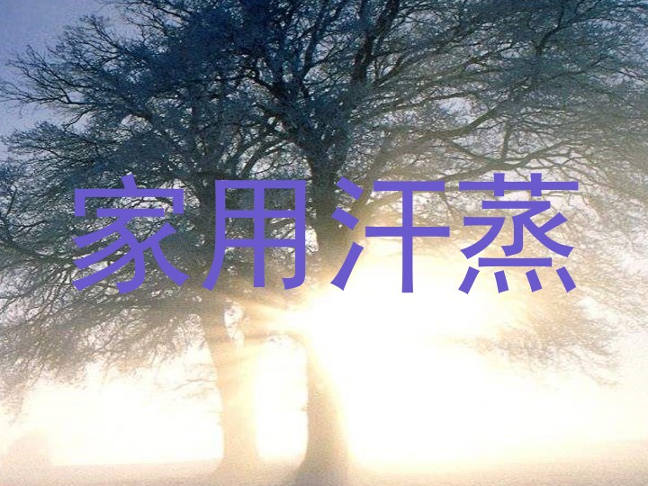 家用汗蒸