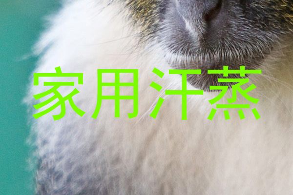 家用汗蒸