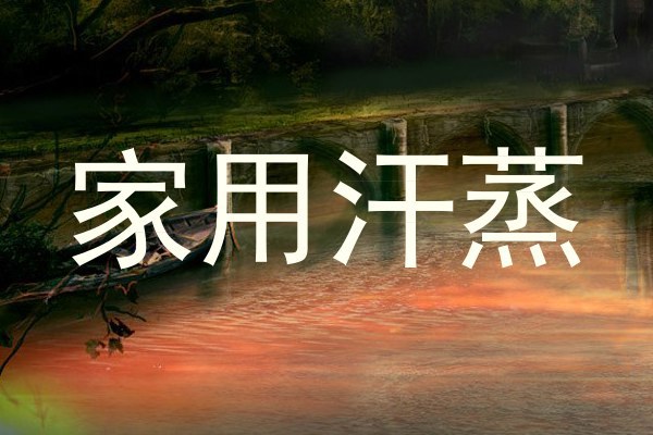 家用汗蒸