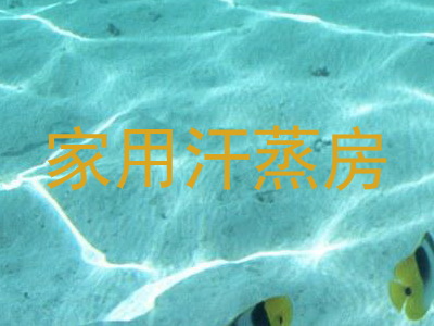 家用汗蒸房