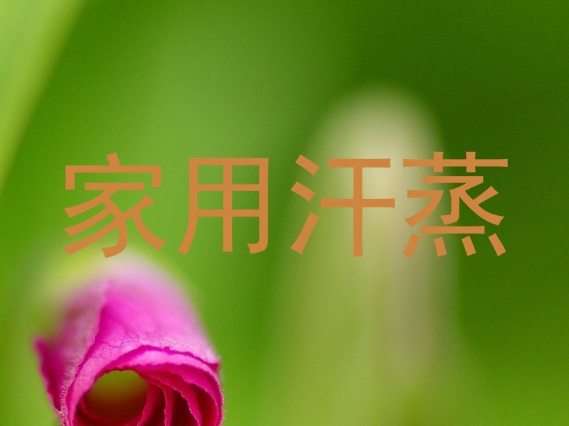 家用汗蒸