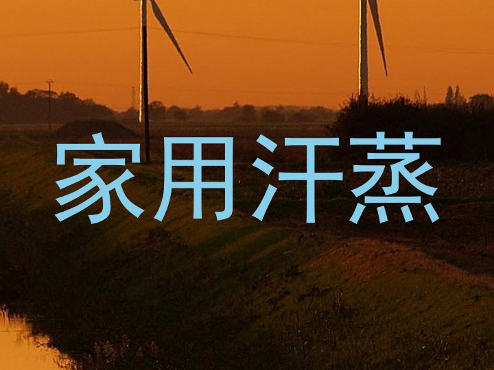 家用汗蒸