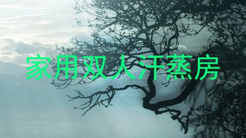 家用双人汗蒸房