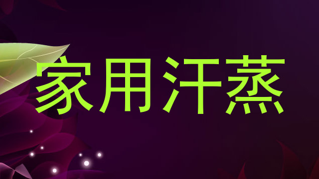 家用汗蒸