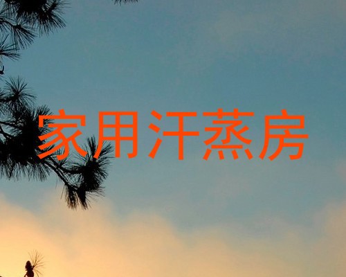 家用汗蒸房