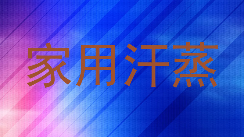 家用汗蒸