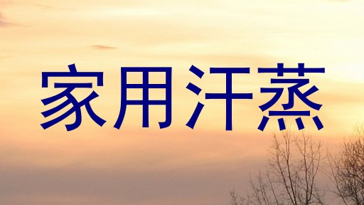 家用汗蒸