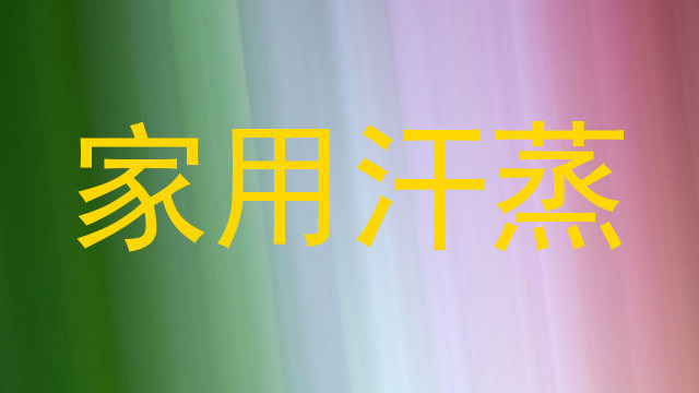 家用汗蒸