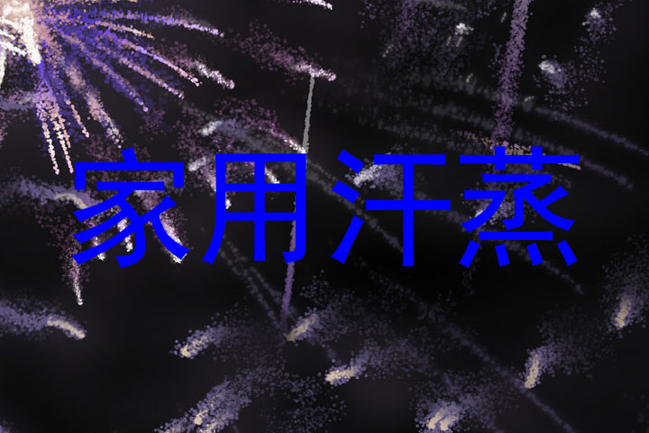 家用汗蒸