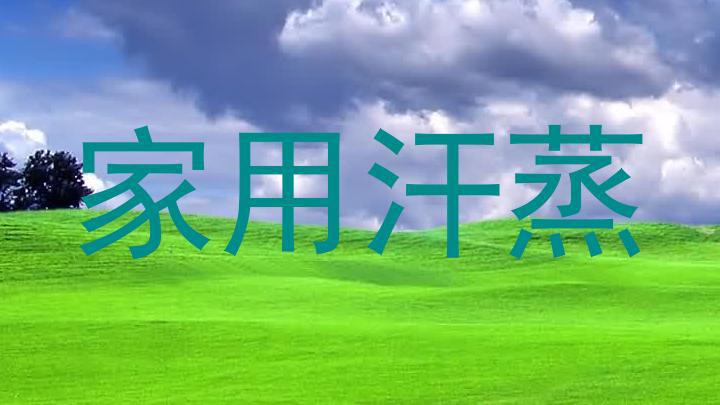 家用汗蒸