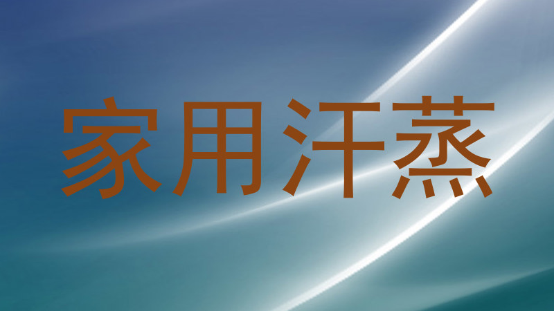 家用汗蒸