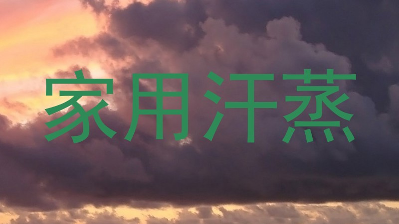 家用汗蒸