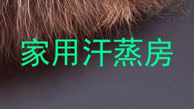家用汗蒸房