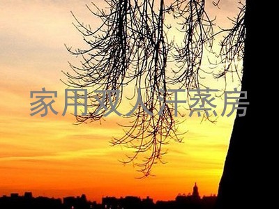 家用双人汗蒸房