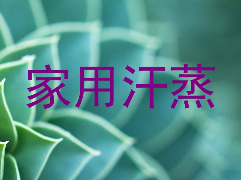 家用汗蒸