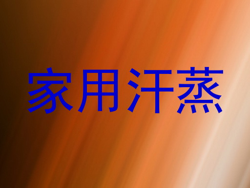 家用汗蒸