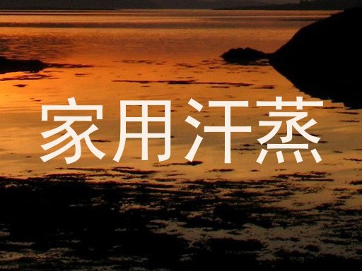 家用汗蒸