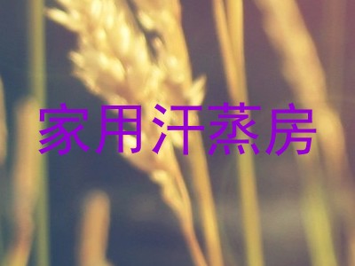 家用汗蒸房